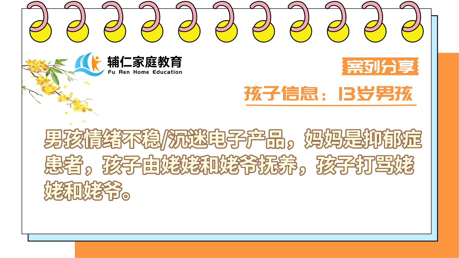 男孩情绪不稳/沉迷电子产品，妈妈是抑郁症患者，孩子由姥姥和姥爷抚养，孩子打骂姥姥和姥爷